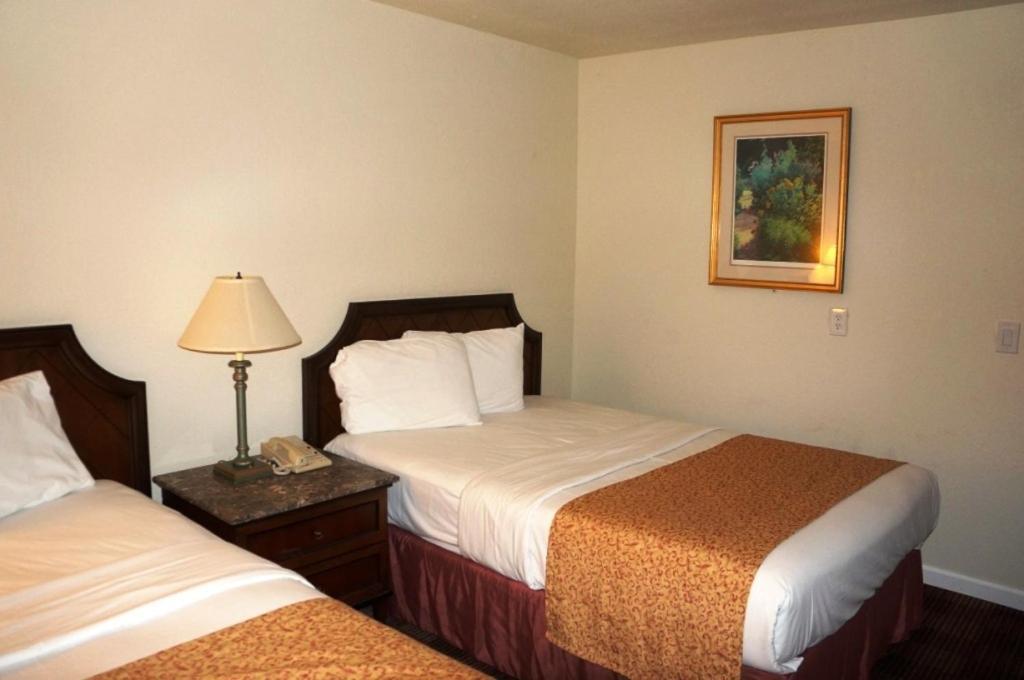 Waterford Inn Bagian luar foto
